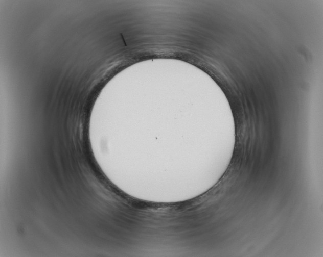 X0000113350120200910131247