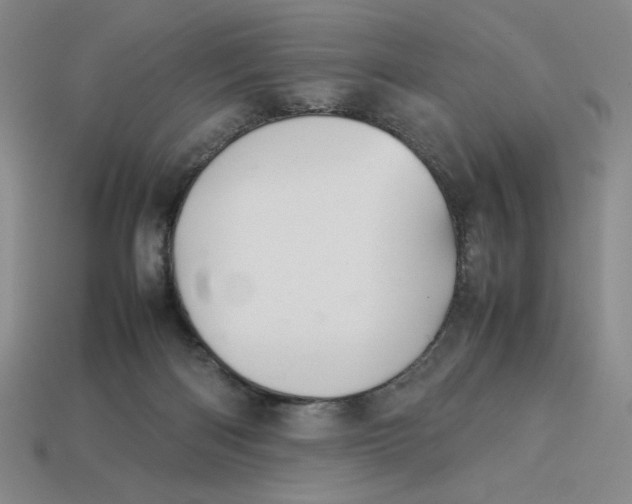 X0000113350122200910131247
