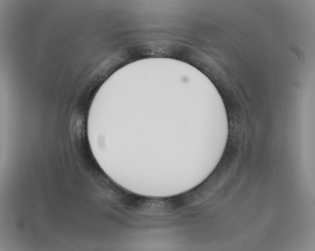 X0000113350123200910131247