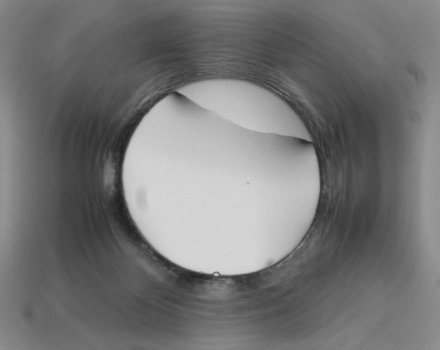 X0000113350124200910131247