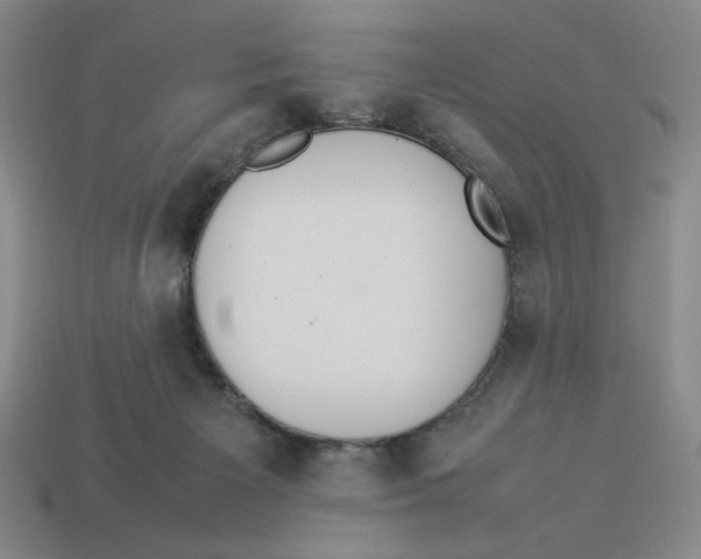 X0000113350125200910131247