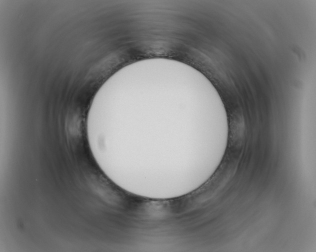 X0000113350126200910131247