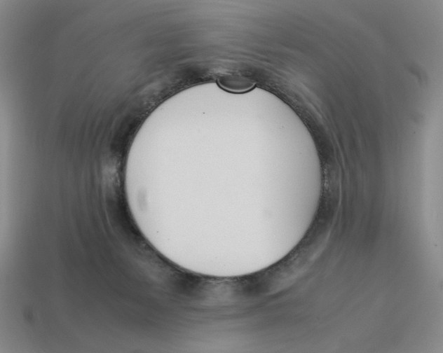 X0000113350127200910131247