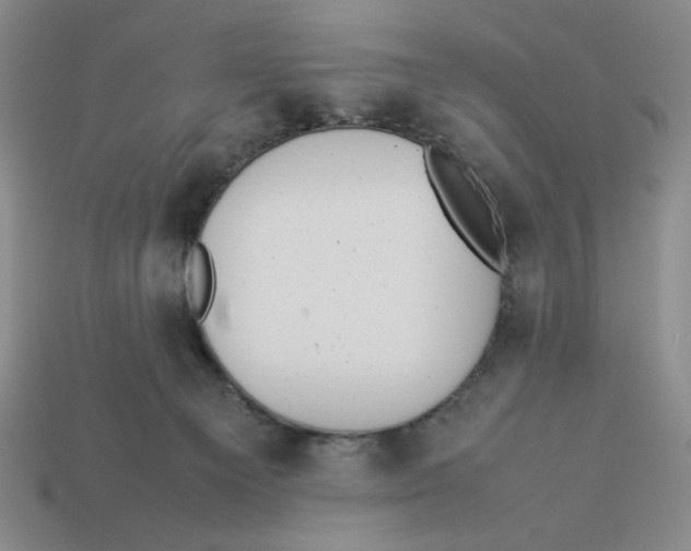 X0000113350129200910131247