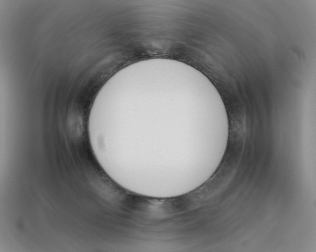 X0000113350130200910131247