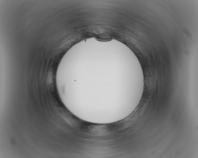 X0000113350132200910131247