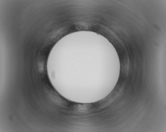 X0000113350134200910131247