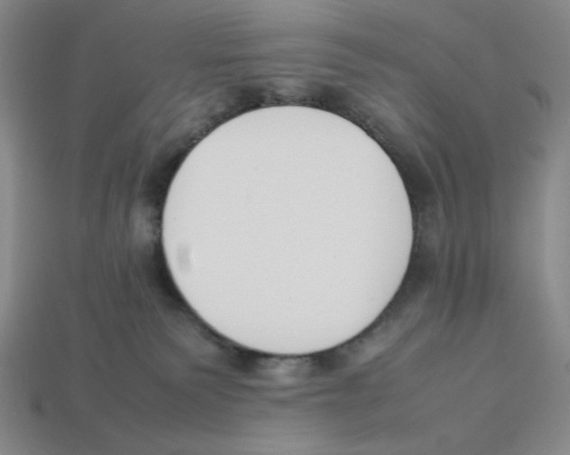 X0000113350135200910131247