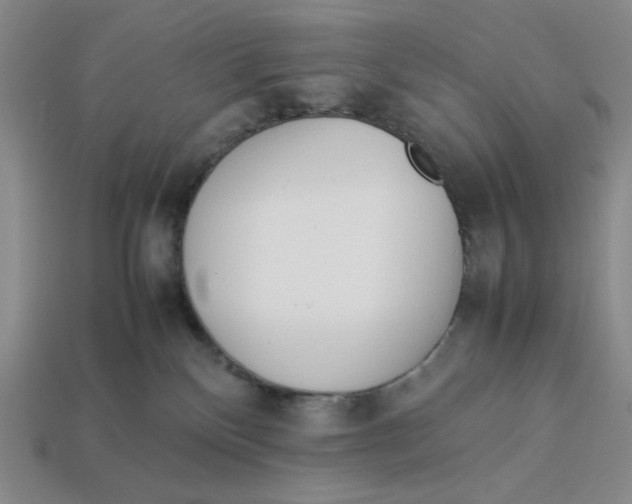 X0000113350136200910131247