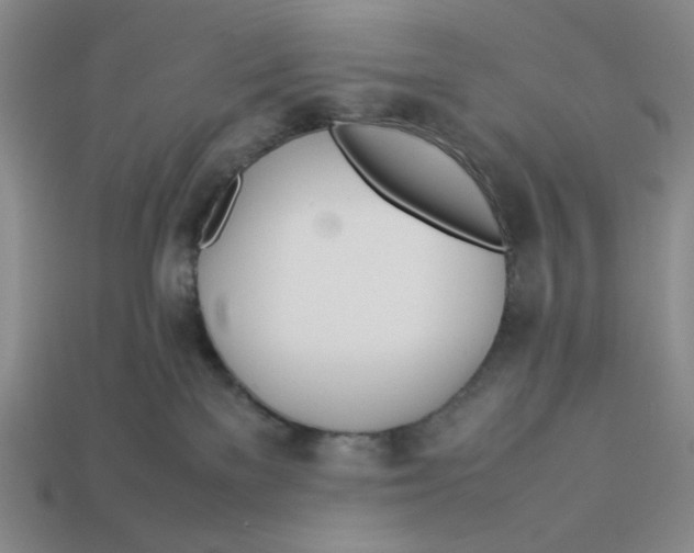 X0000113350137200910131247