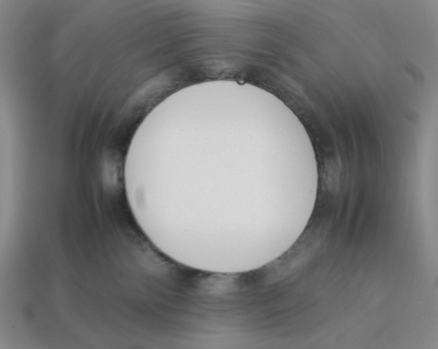 X0000113350138200910131247