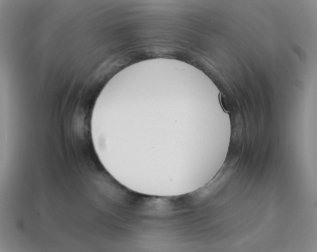 X0000113350140200910131247