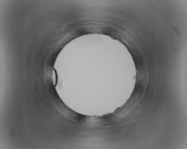 X0000113350141200910131247