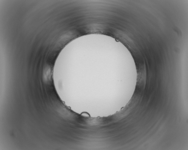 X0000113350142200910131247