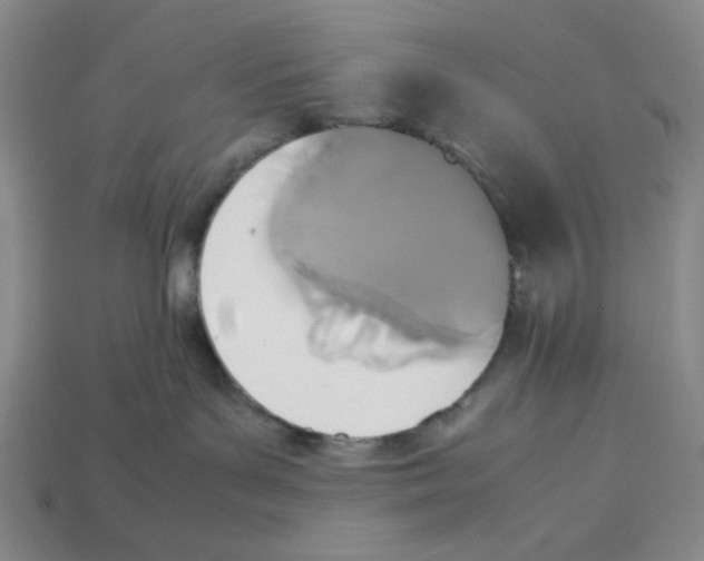 X0000113350143200910131247