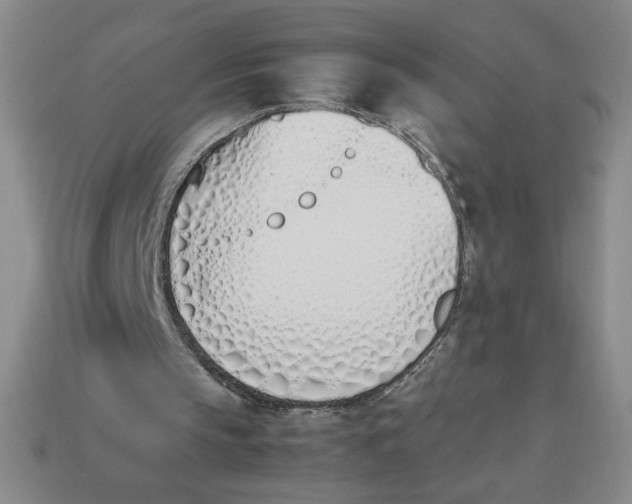 X0000113350145200910131246