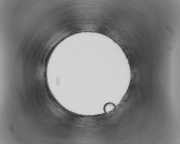 X0000113350146200910131246