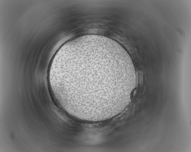 X0000113350147200910131246