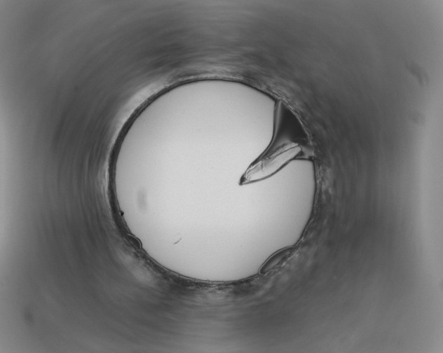 X0000113350148200910131246