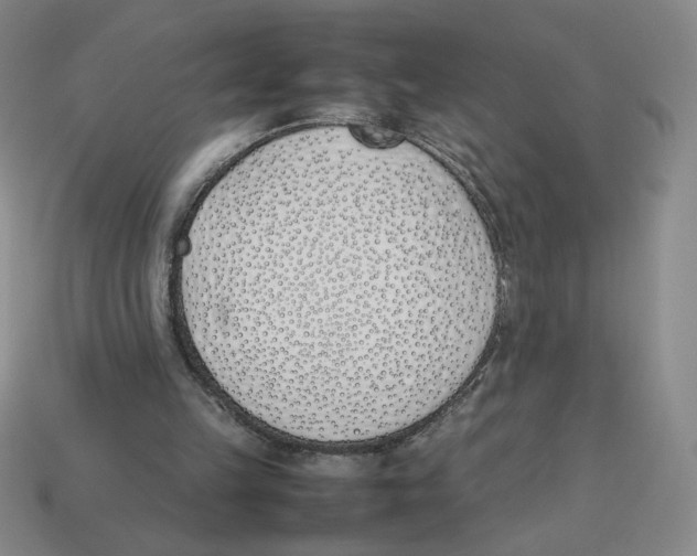 X0000113350149200910131246