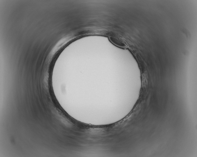 X0000113350150200910131246