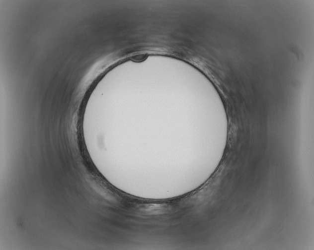 X0000113350151200910131246