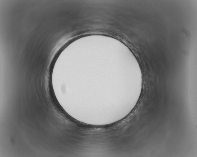 X0000113350152200910131246