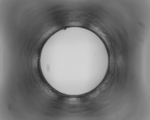 X0000113350153200910131246