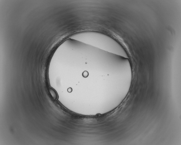 X0000113350154200910131246