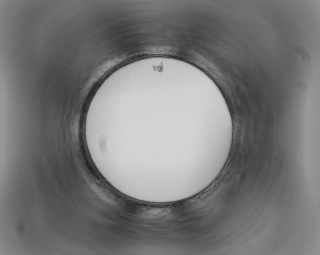 X0000113350155200910131246