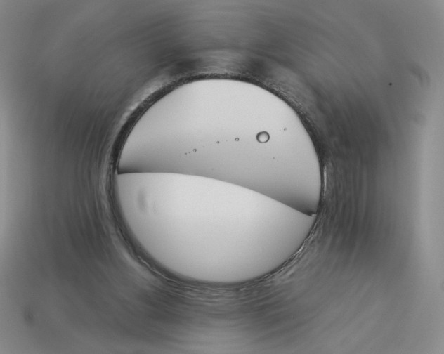 X0000113350156200910131247