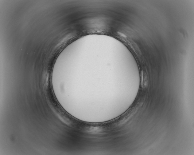 X0000113350157200910131247