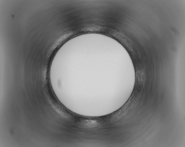 X0000113350159200910131247