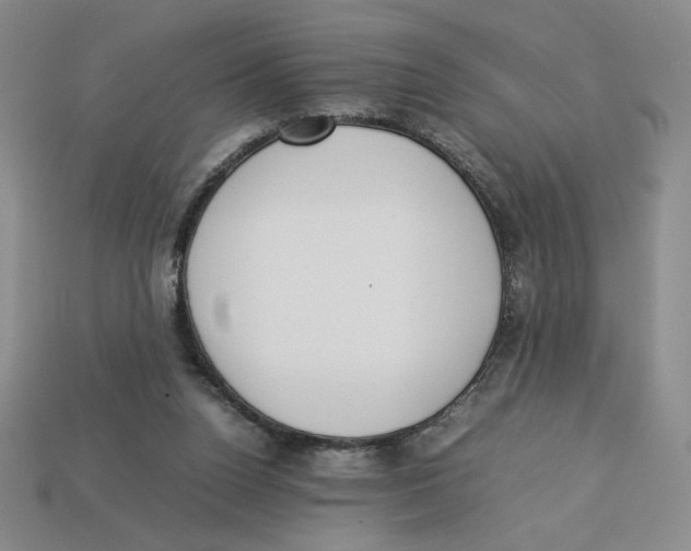 X0000113350160200910131247