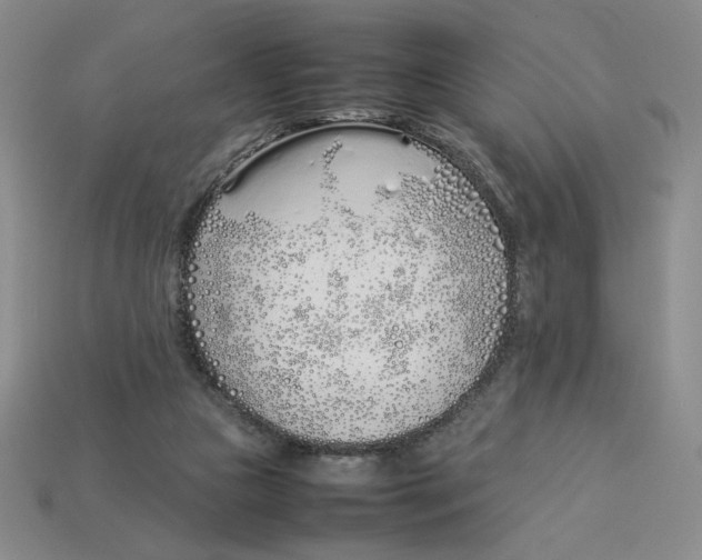 X0000113350161200910131247