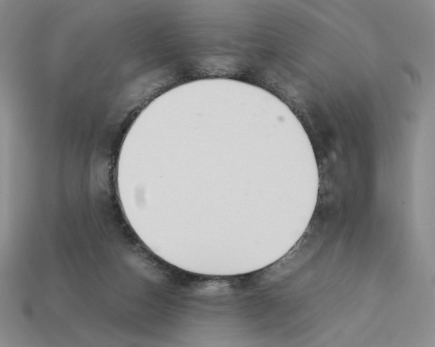 X0000113350162200910131247