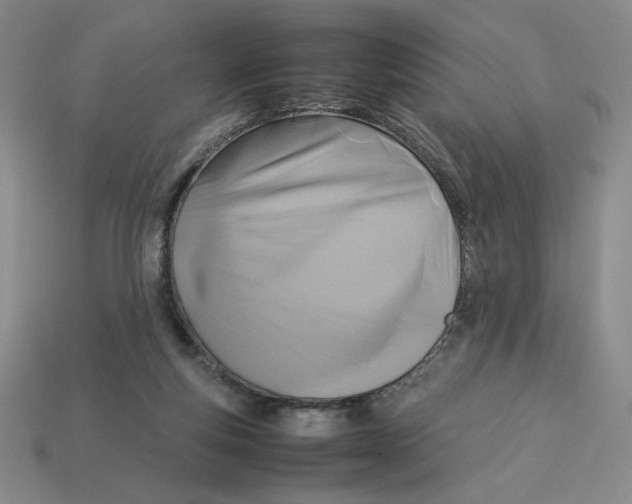 X0000113350163200910131247