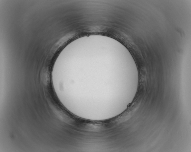 X0000113350164200910131247