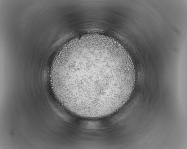 X0000113350165200910131247