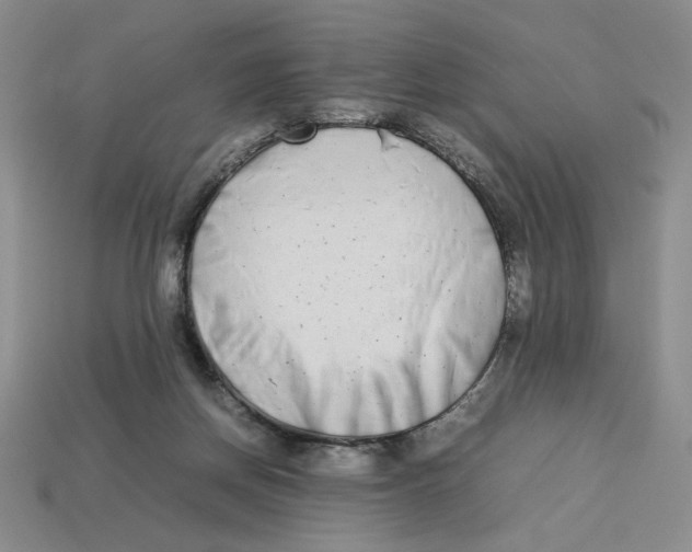 X0000113350166200910131247