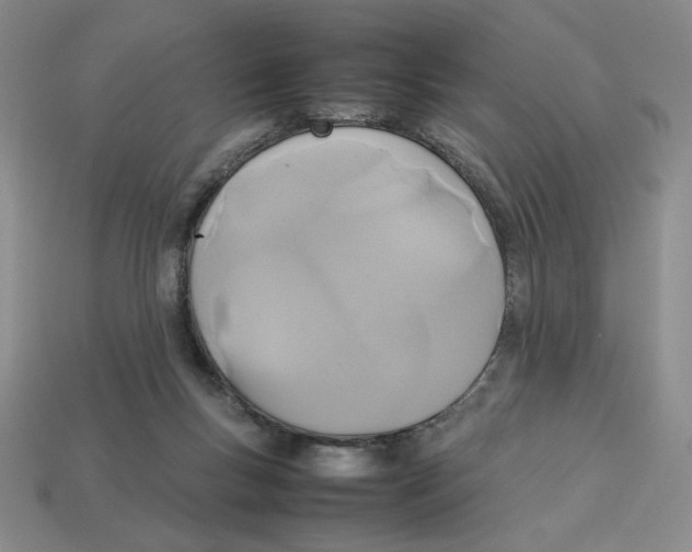 X0000113350167200910131247