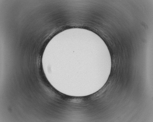 X0000113350168200910131247