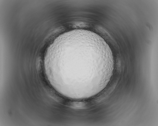 X0000113350169200910131247