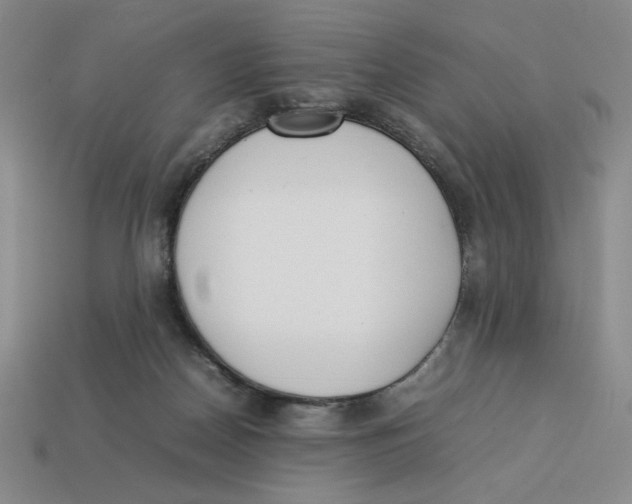 X0000113350170200910131247