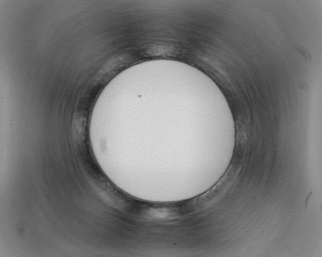 X0000113350171200910131247