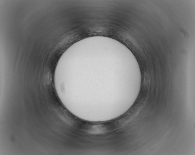 X0000113350173200910131247