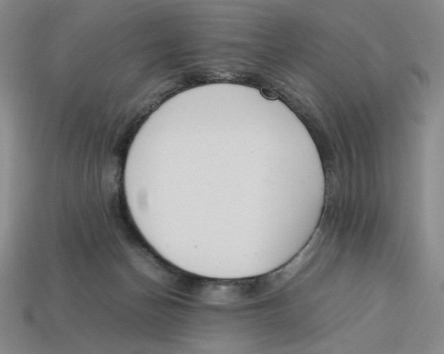 X0000113350174200910131247