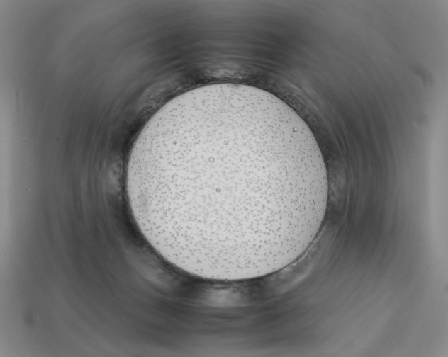 X0000113350175200910131247