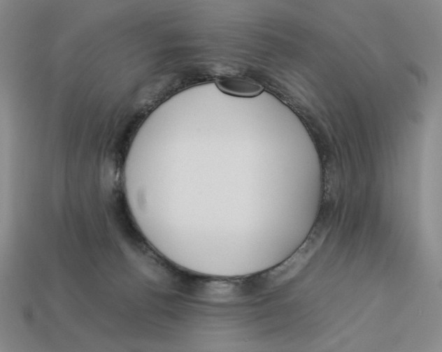 X0000113350176200910131247