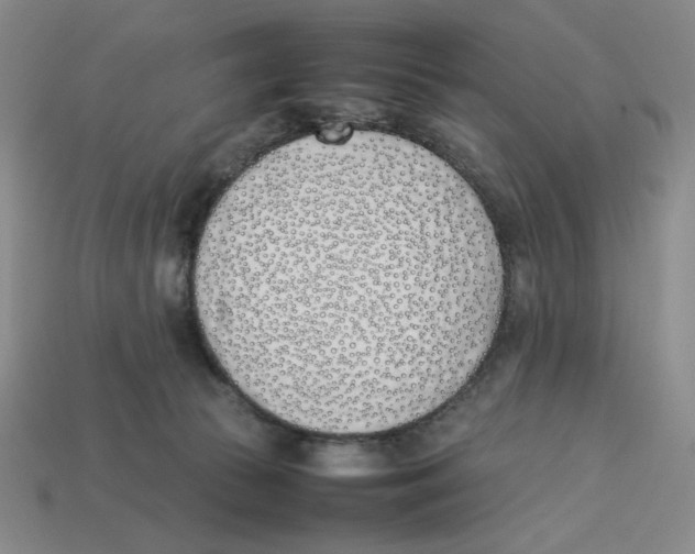 X0000113350177200910131247